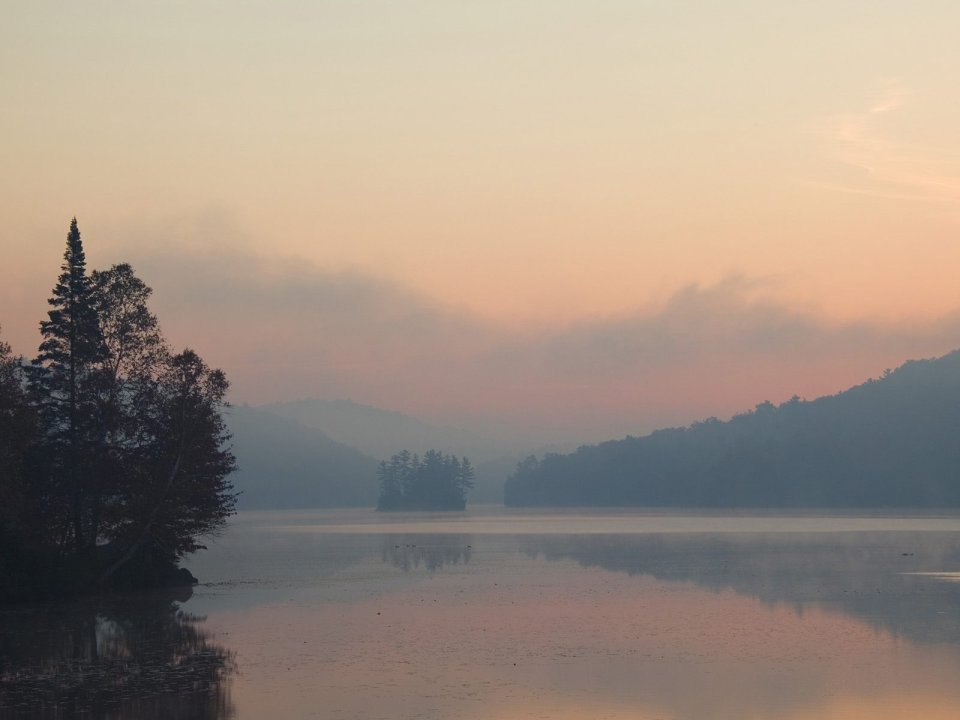 Misty Marsh Serene Lake At Dawn