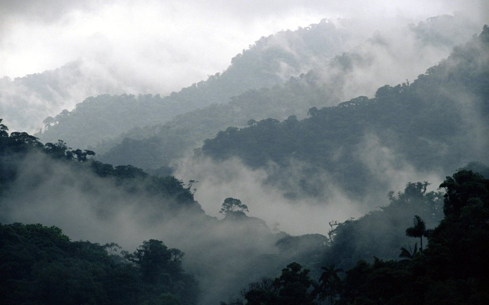 Misty Penas Blancas Valley Monteverde Cloud Forest