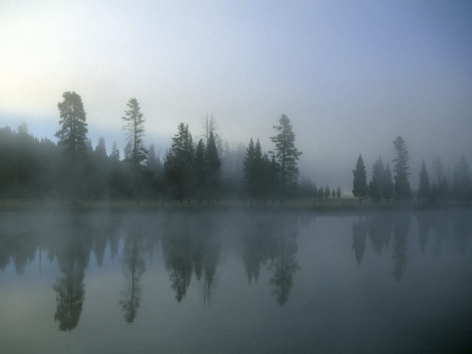 Morning Fog Over Yellowstone River