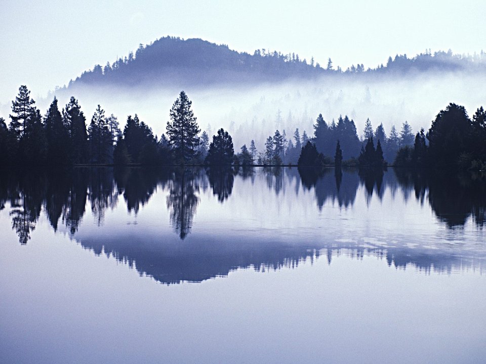 Morning Mist Lake Forest Mountain Landscape