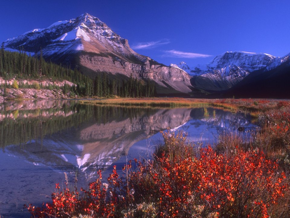 Mountain Vista Jasper National Park Alberta