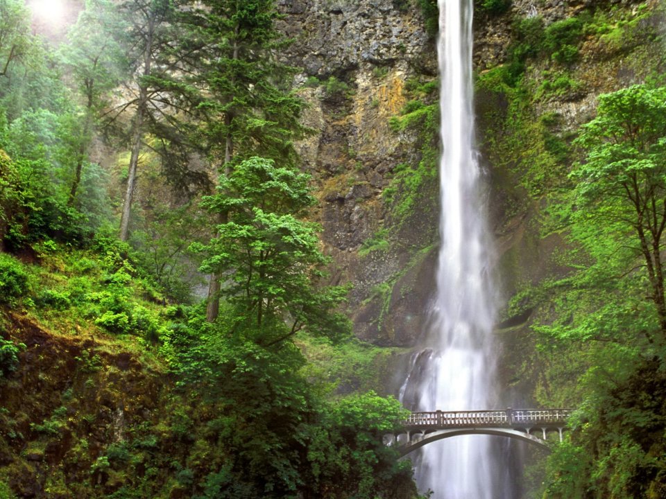 Multnomah Falls Oregon Natural Landscape
