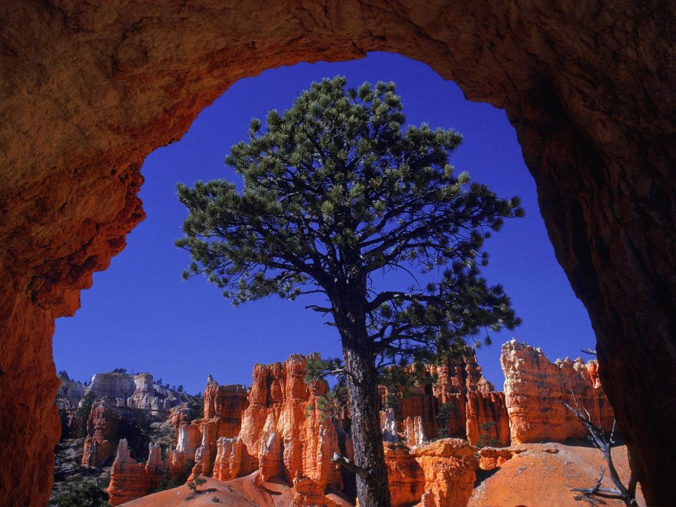 Natural Framing Bryce Canyon Utah