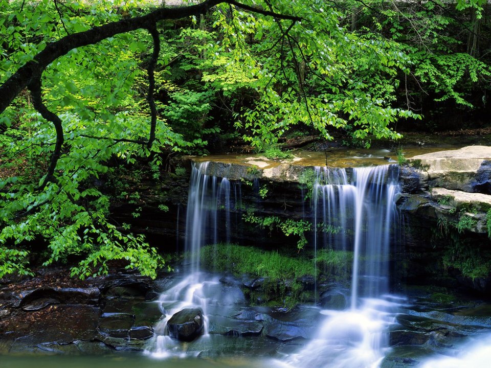 New River Gorge National River West Virginia Forest Waterfall