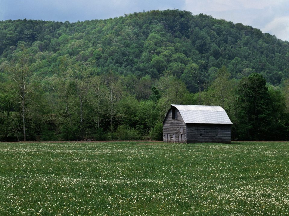 Old Barn Germany Valley Monongahela National Forest West Virginia