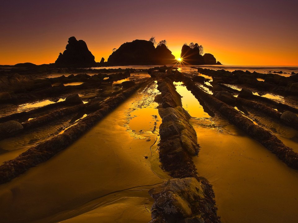 Olympic National Park Beach Sunset