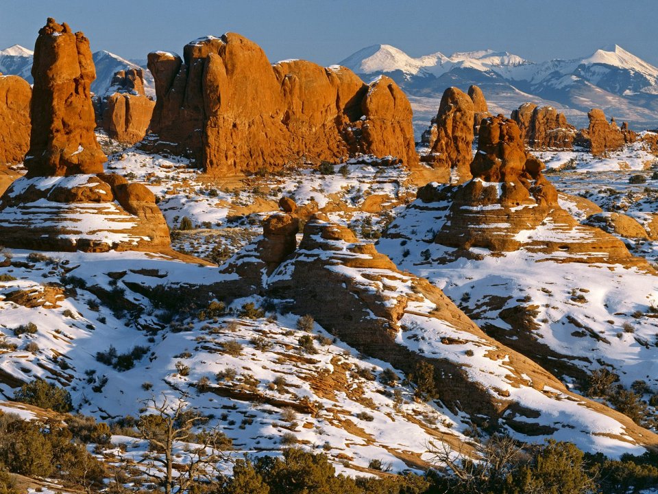 美国犹他州拱门国家公园象岩群冬季雪景