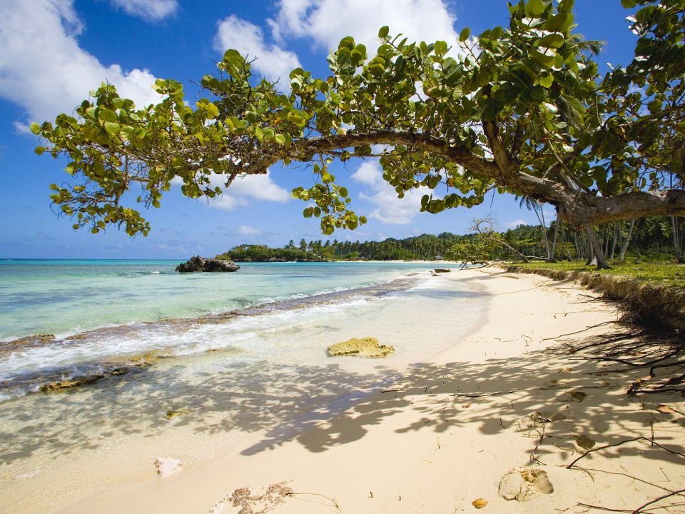 多米尼加共和国Playa Rincon热带海滩风光