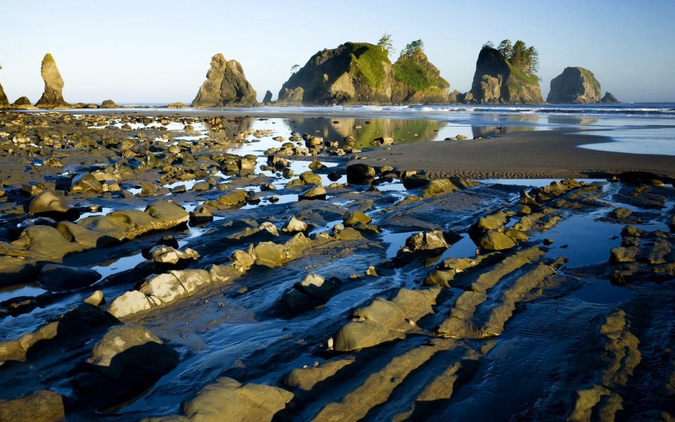 Point Of The Arches Shi Shi Beach Olympic National Park