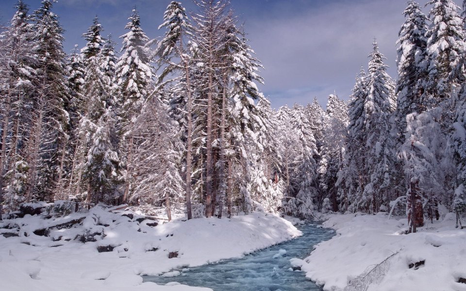 Rainier Creek In Winter Mount Rainier National Park