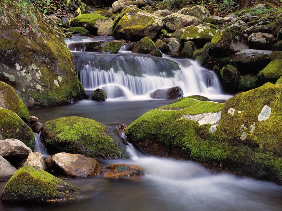Roaring Fork River Great Smoky Mountains