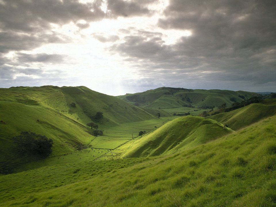 Treasures of the Earth: New Zealand Landscapes Vol. 8