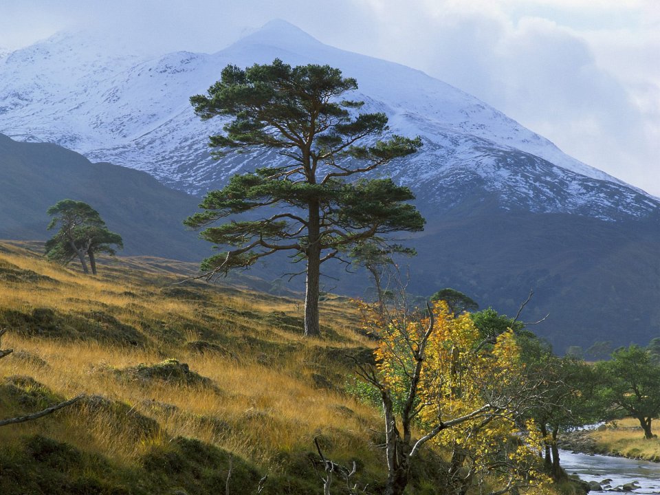 Scenic Strathfarrar Scotland Highlands