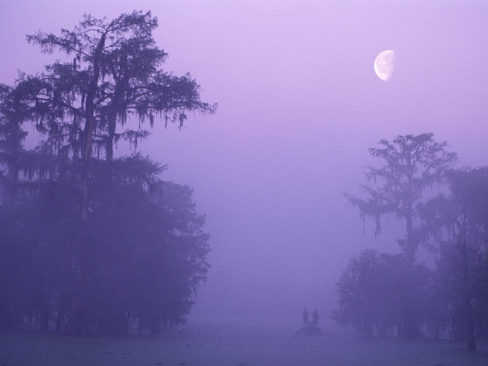 Secret Fishing Hole Louisiana