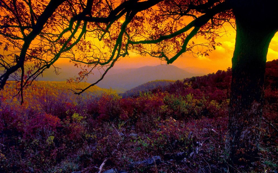 Shenandoah National Park Dusk Autumn
