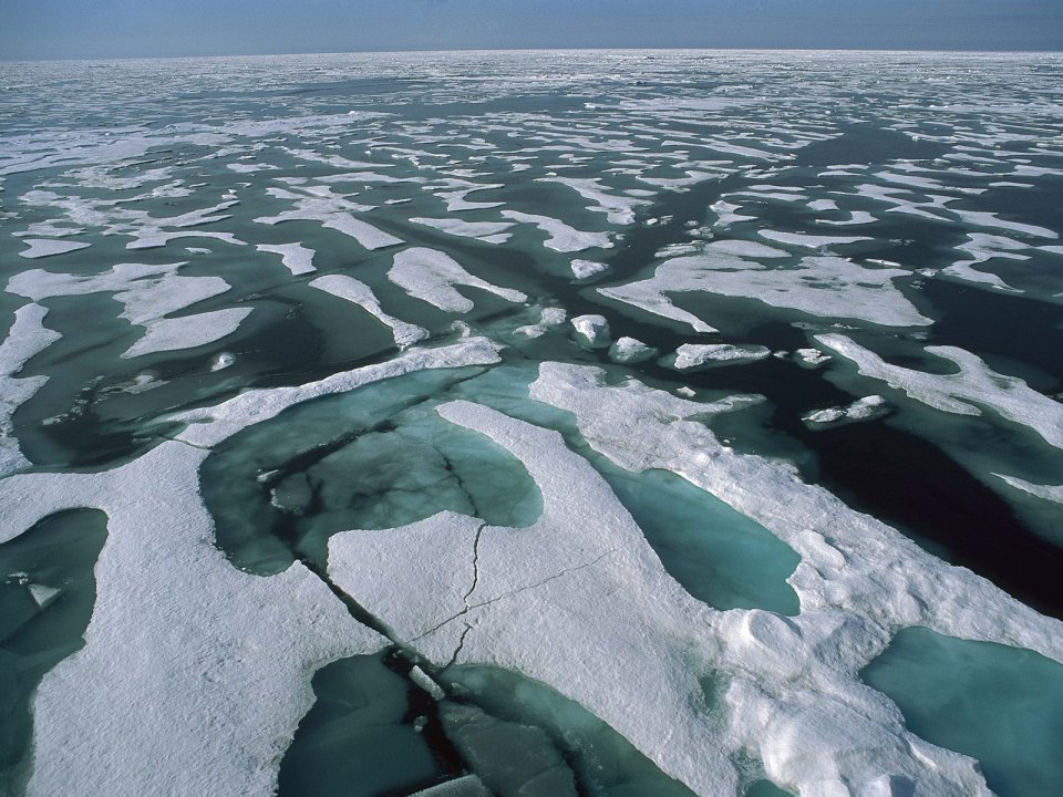 Arctic Ocean Pack Ice And Melt Water