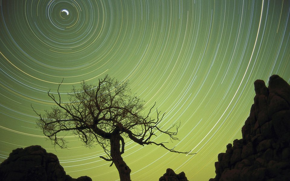 Star Trails Over Mongolian Landscape
