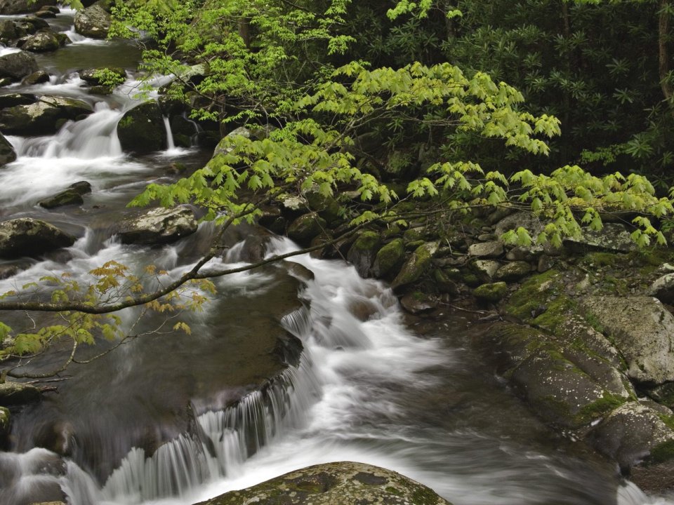 美国田纳西州大烟山国家公园山涧溪流风光