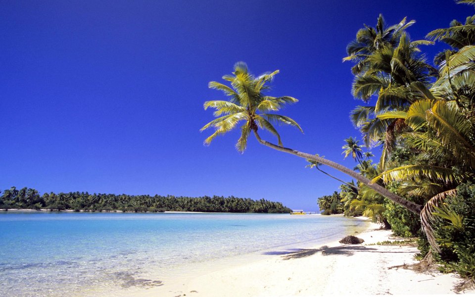 Cook Islands Tropical Beach And Palm Trees