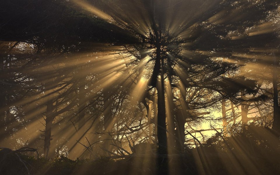 Sunrays Moolach Beach Oregon Coast