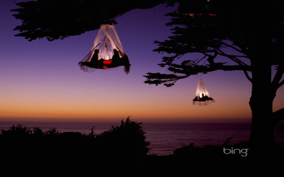 Seaside Sunset Tree Top Camping Romantic Scene
