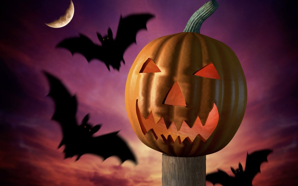 Halloween Jack O Lantern And Bats Night Sky