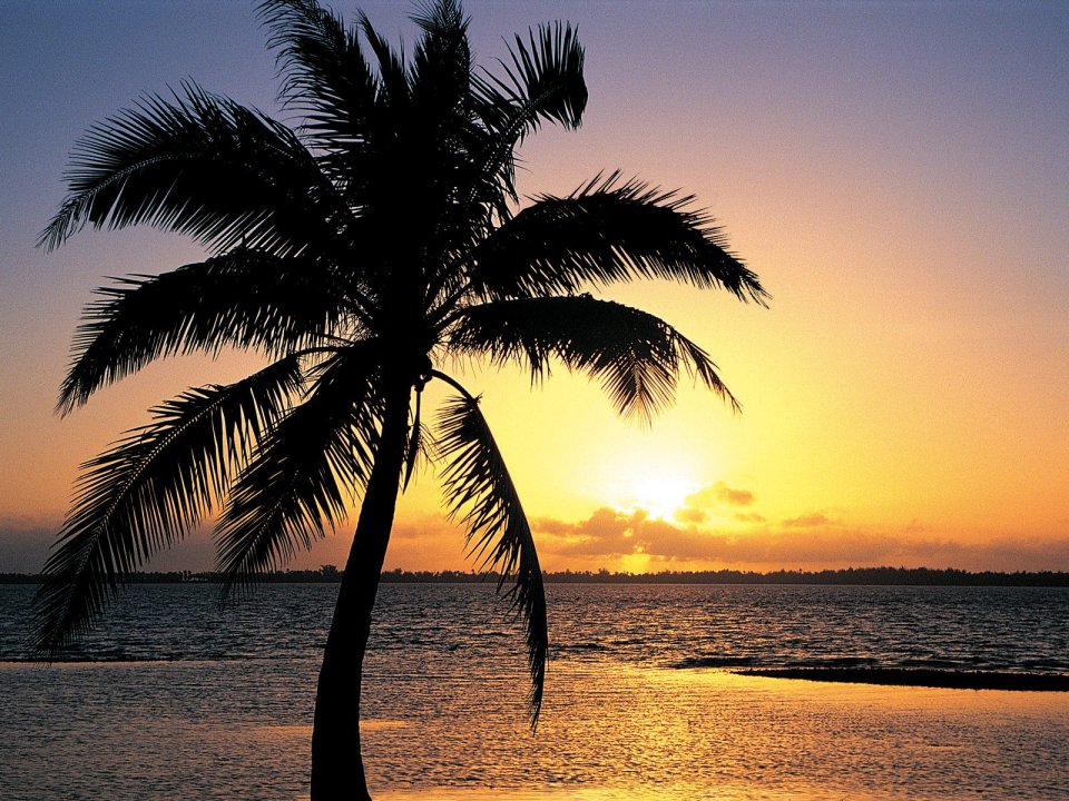 Tropical Island Sunset Silhouette