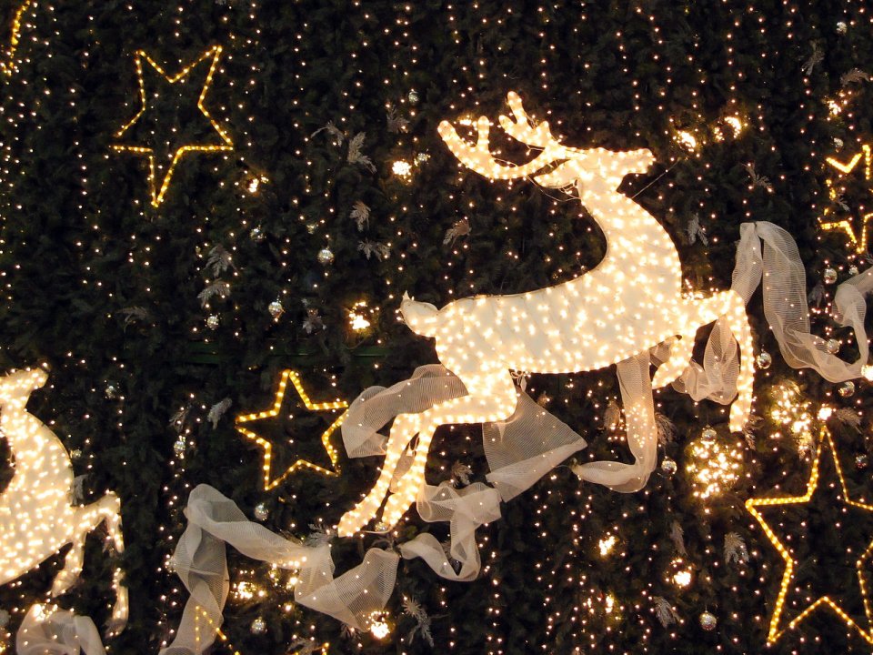 Christmas Deer Star Lights Decoration