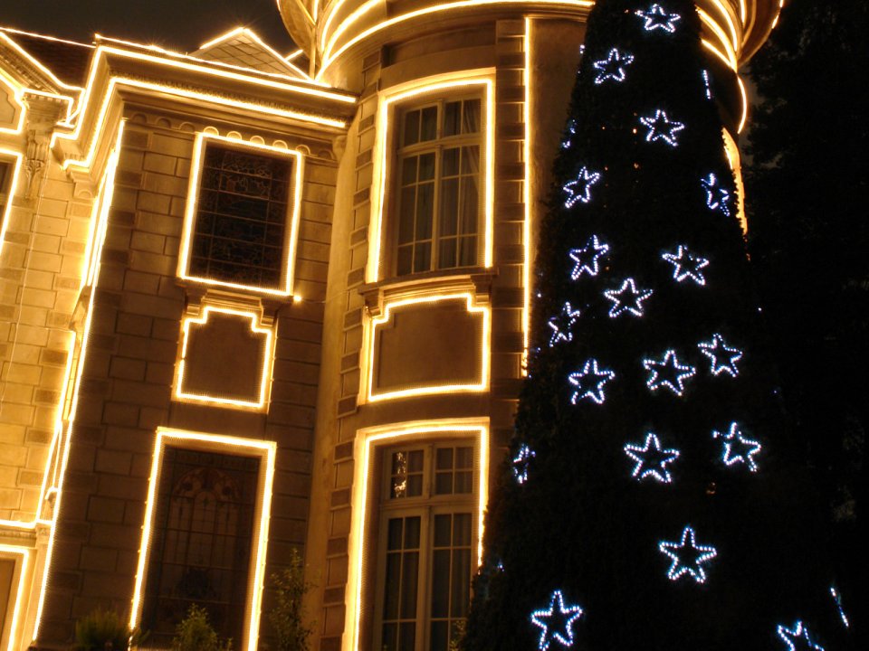 European Building Christmas Night Lights