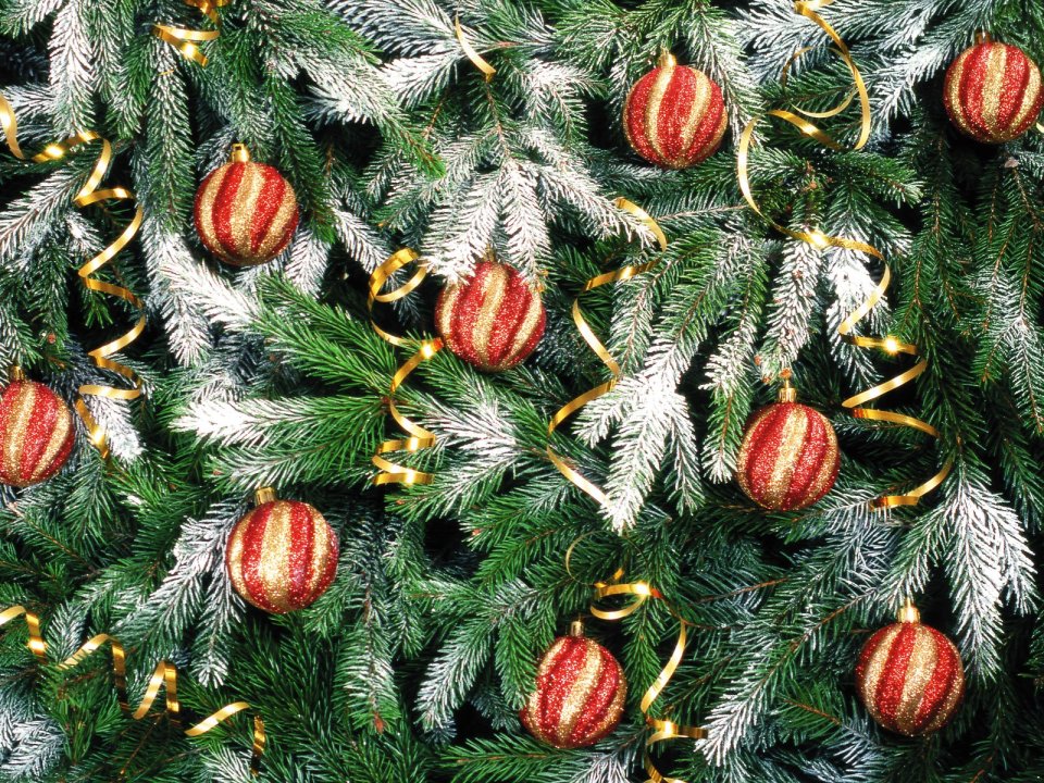 Snowy Pine Branches With Red Gold Ornaments