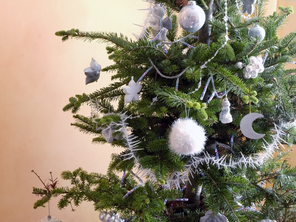 Silver White Christmas Tree Decoration Closeup