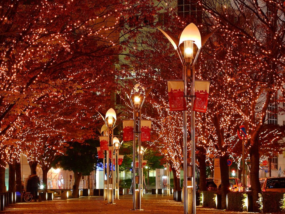 Japanese City Street Autumn Leaves And Lights Night View