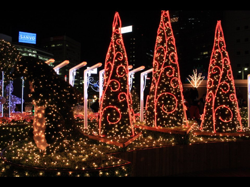 City Square Bright Christmas Tree Lights Night View