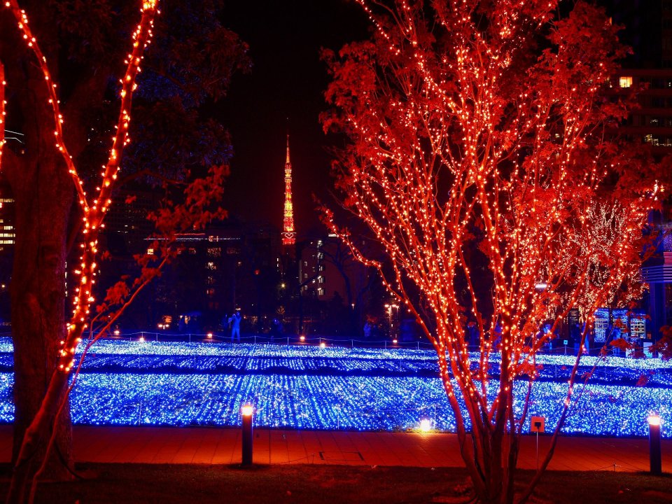 Tokyo Tower Christmas Lights Night View