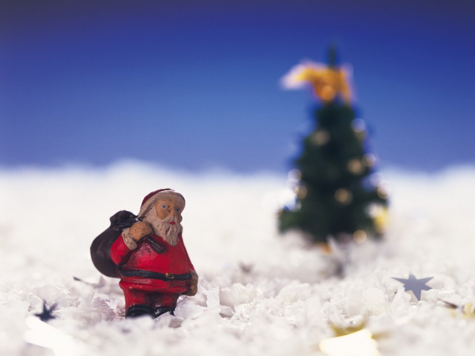 Close Up Santa Claus Toy And Christmas Tree