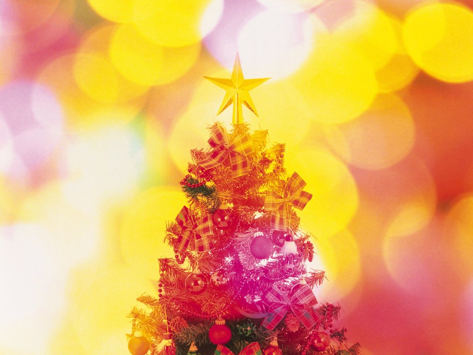 Decorated Christmas Tree Warm Bokeh Background