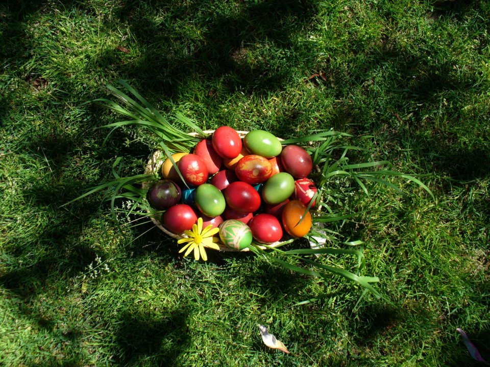 Basket Of Painted Easter Eggs On Grass
