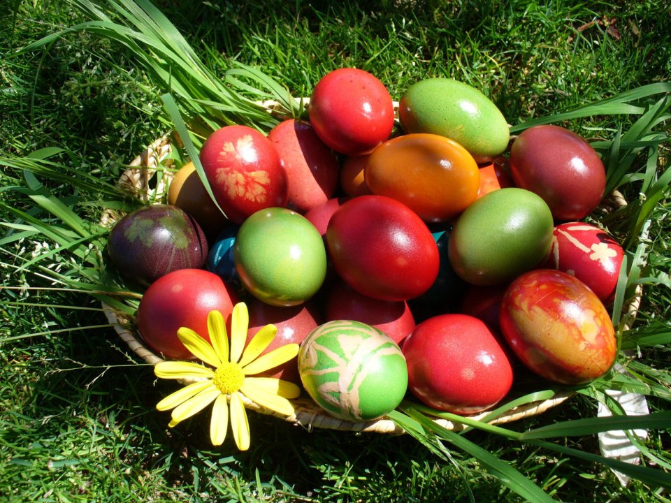 Basket Of Painted Easter Eggs And Daisy On Grass