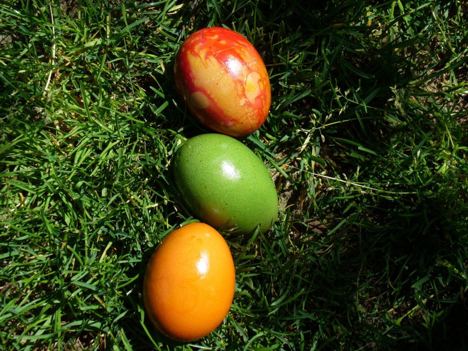 Easter Colored Eggs