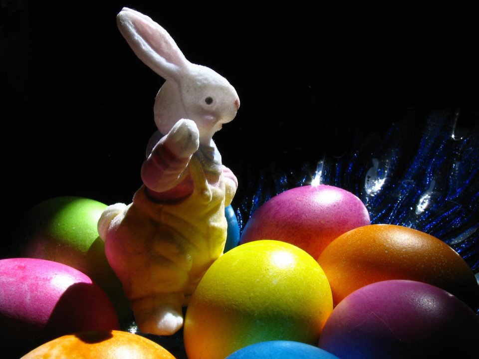 Easter Bunny And Colorful Eggs Closeup