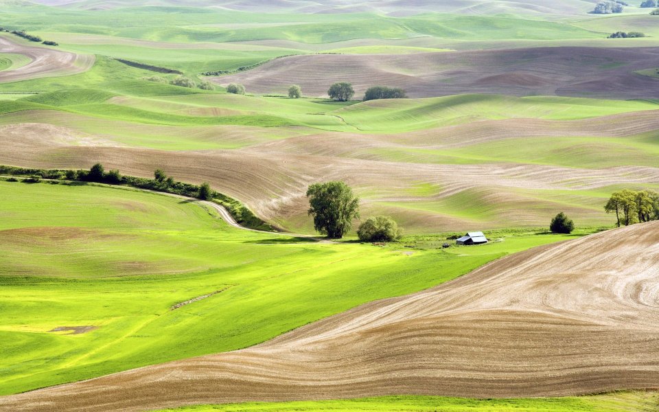 Palouse Spring Undulating Field Panorama View