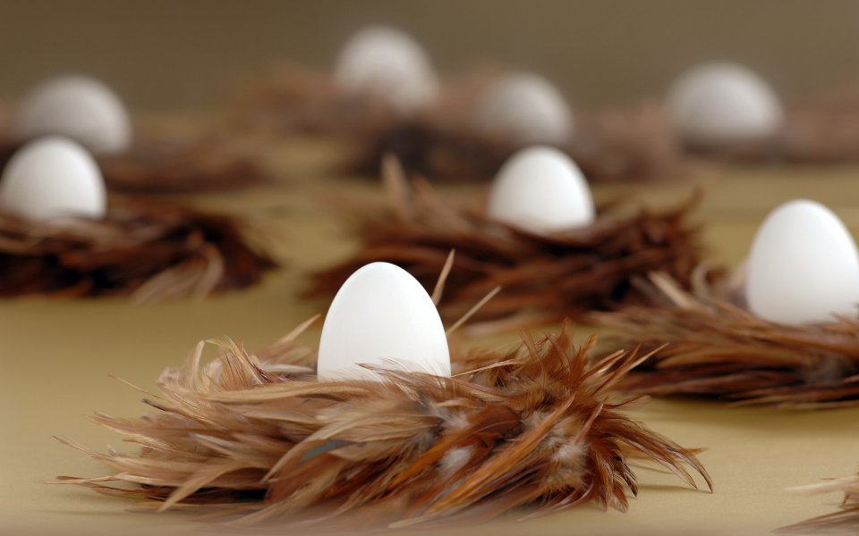 Easter White Eggs Brown Feather Nest Closeup
