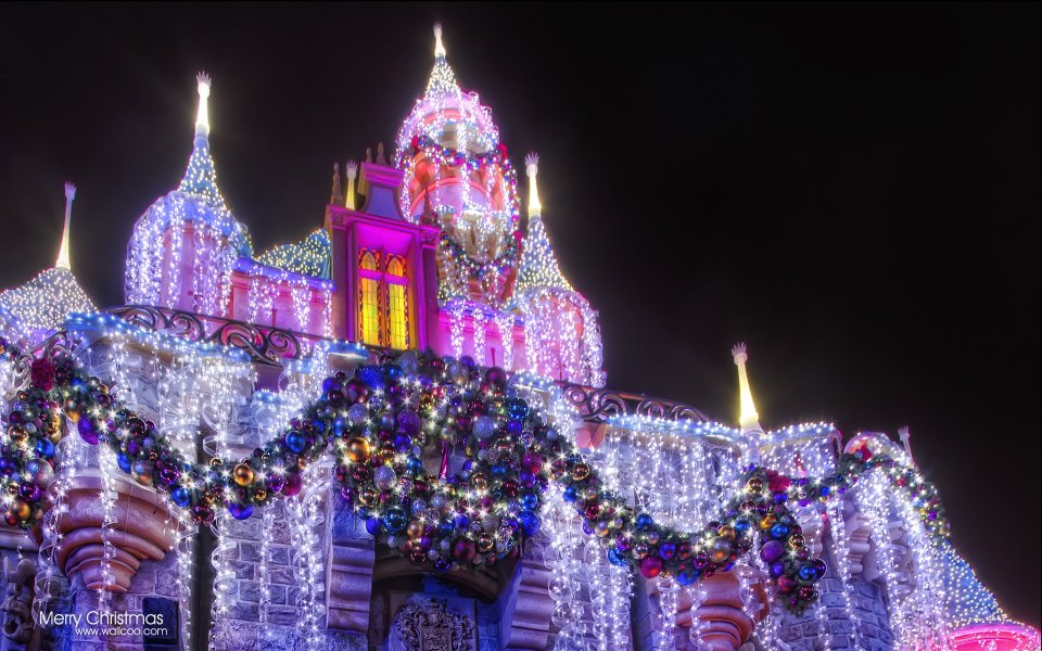 Disney Sleeping Beauty Castle Christmas Night Lights