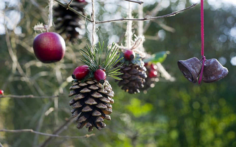 Natural Christmas Decorations On Tree Branch