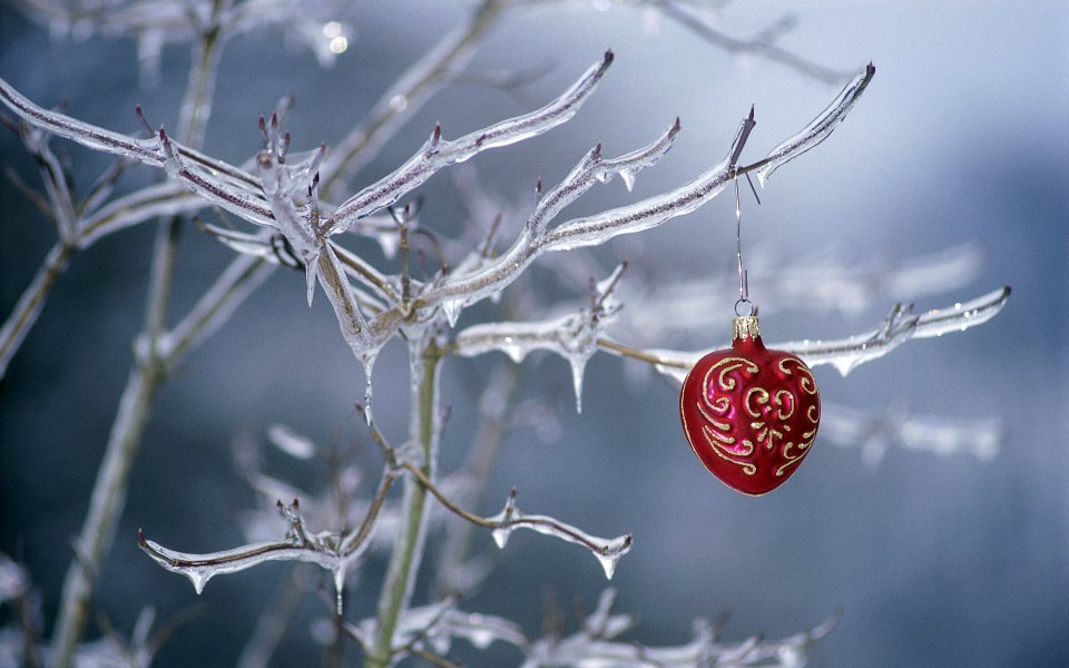 Red Heart Christmas Ornament On Icy Branches