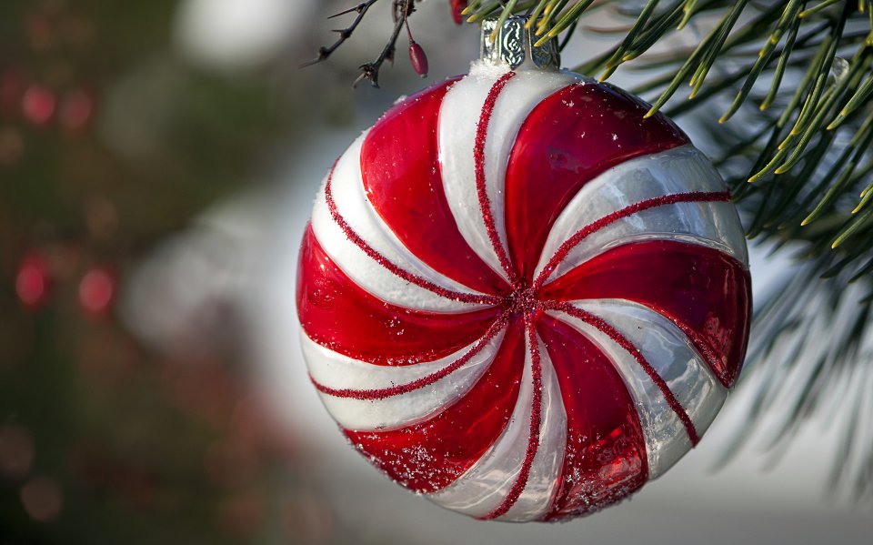 Red Candy Striped Christmas Ornament On Pine Branch