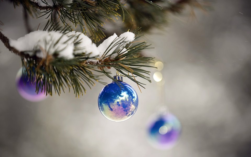 Blue Ornament On Snowy Pine Branch