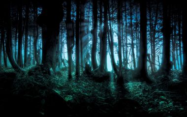 Mysterious Mist And Light Beams In Dark Forest