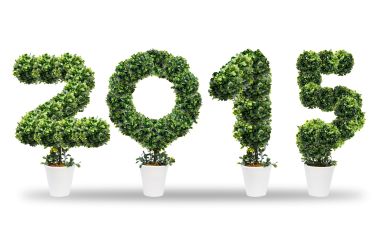 2015年新年创意数字造型：绿色植物盆栽壁纸