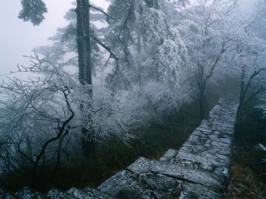 中国冬季山林雾凇雾中石阶步道雪景